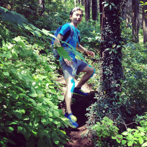 o0800080012537477595