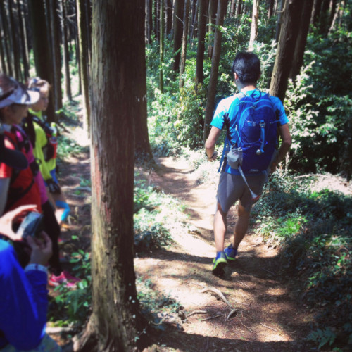 o0800080012537478358