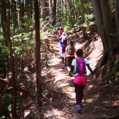 o0800080012537480035