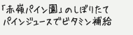「赤嶺パイン園」のしぼりたてパインジュースでビタミン補給